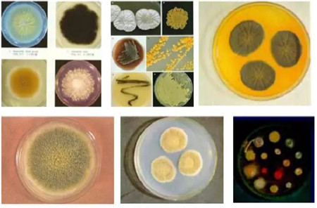 云开体育app官网