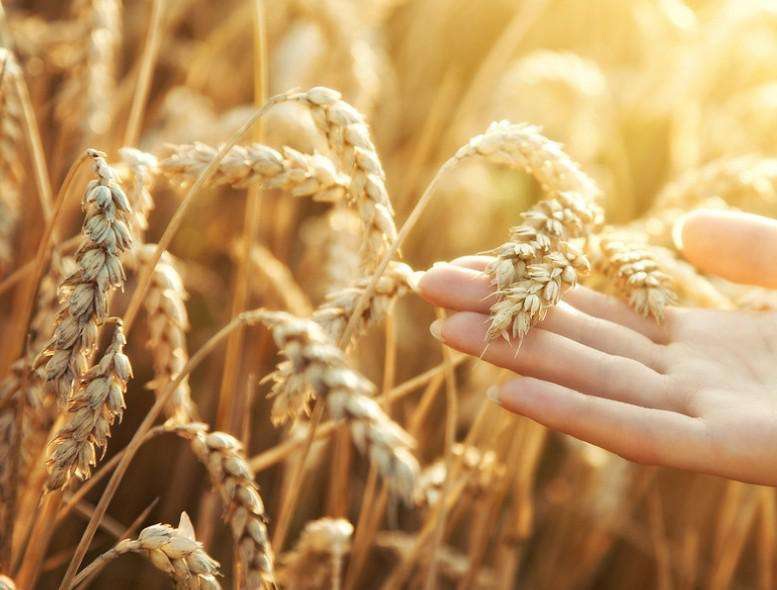 云开体育app官网