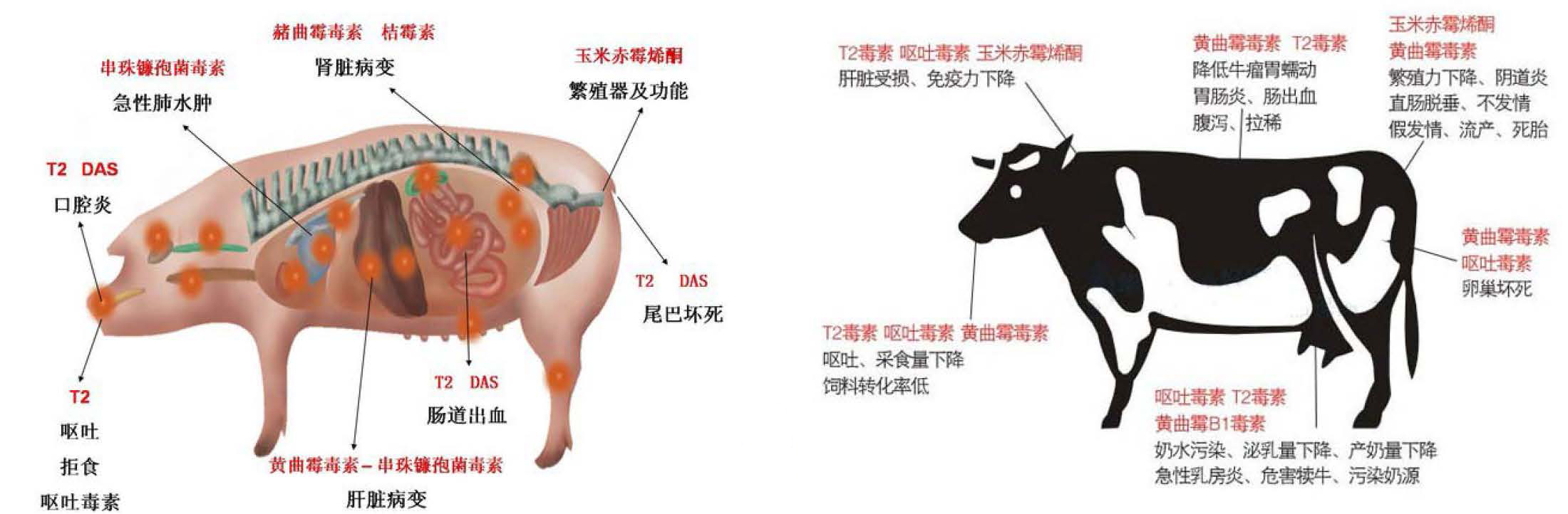 云开体育app官网