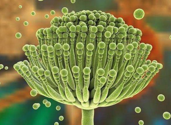 云开体育app官网