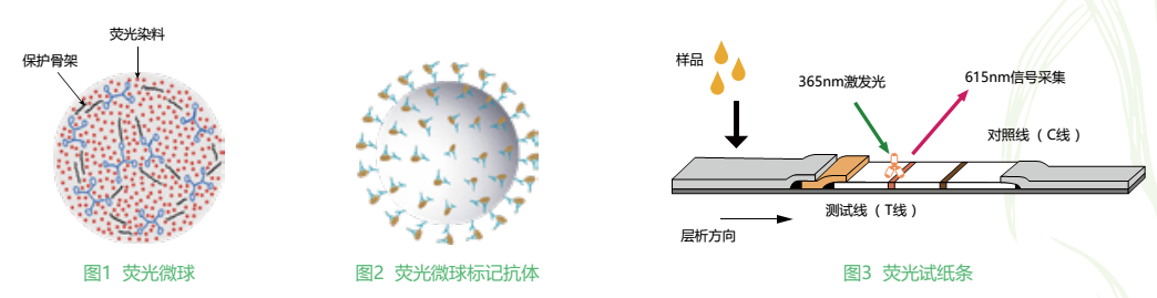 云开体育app官网
