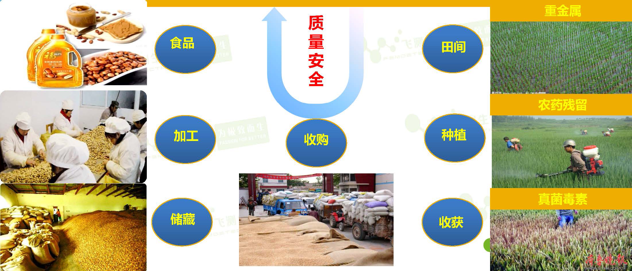 威胁着我国粮油质量安全的隐患有哪些