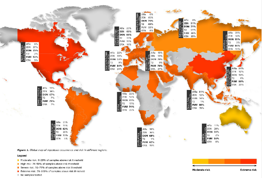 云开体育app官网