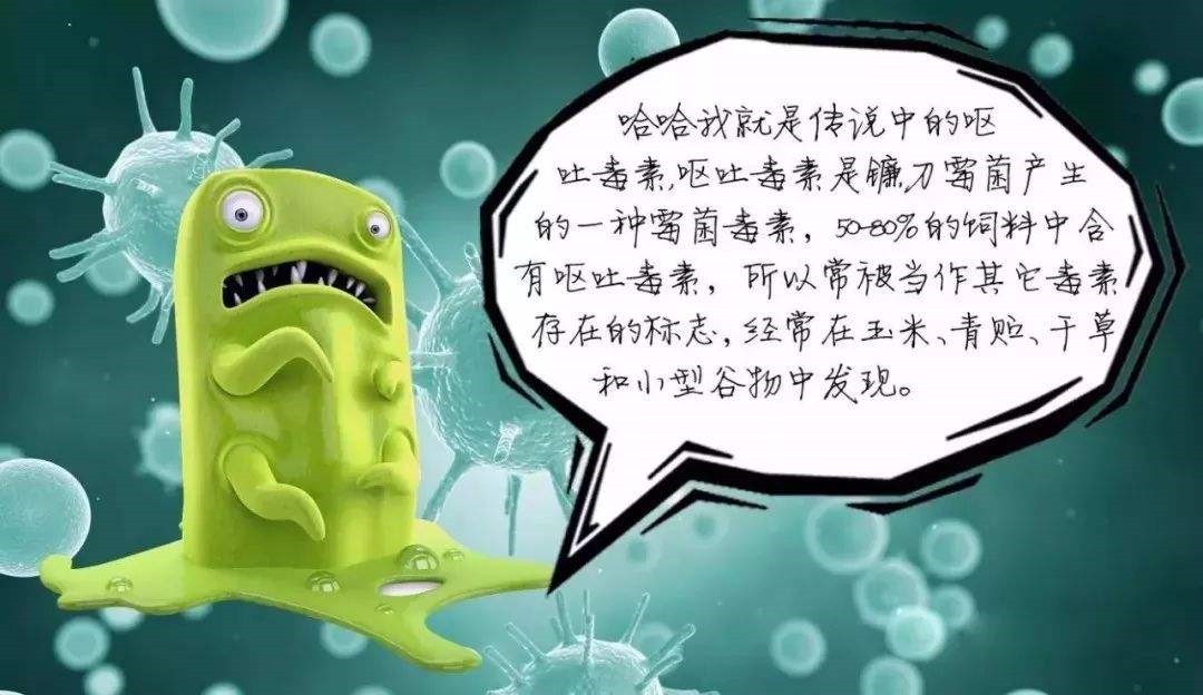 云开体育app官网