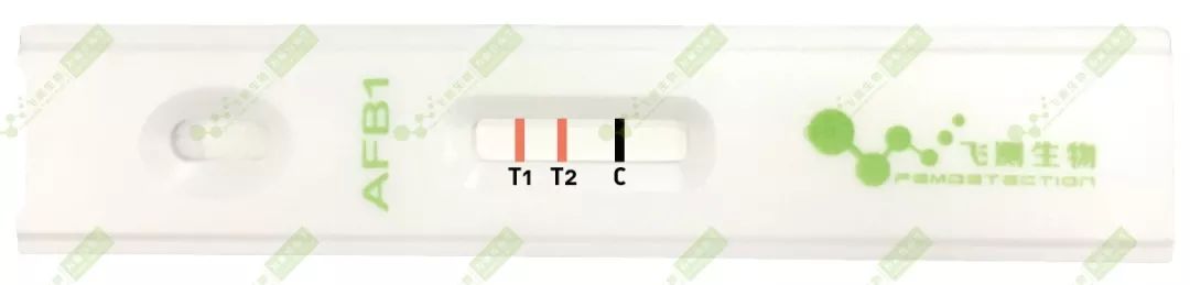 云开体育app官网