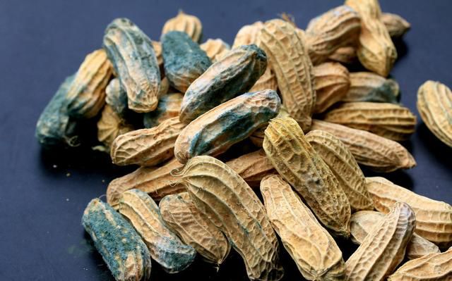 云开体育app官网