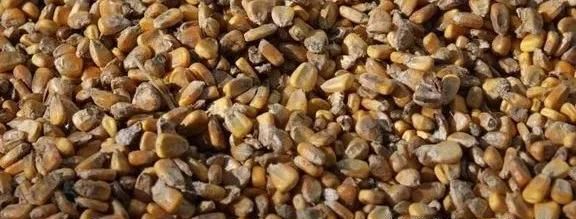 云开体育app官网