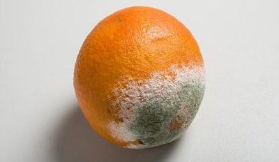 云开体育app官网