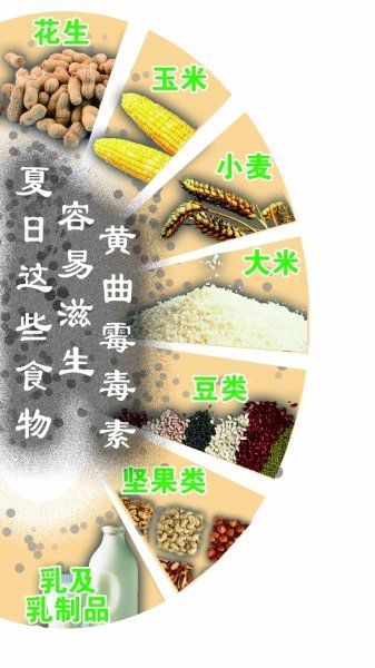 云开体育app官网