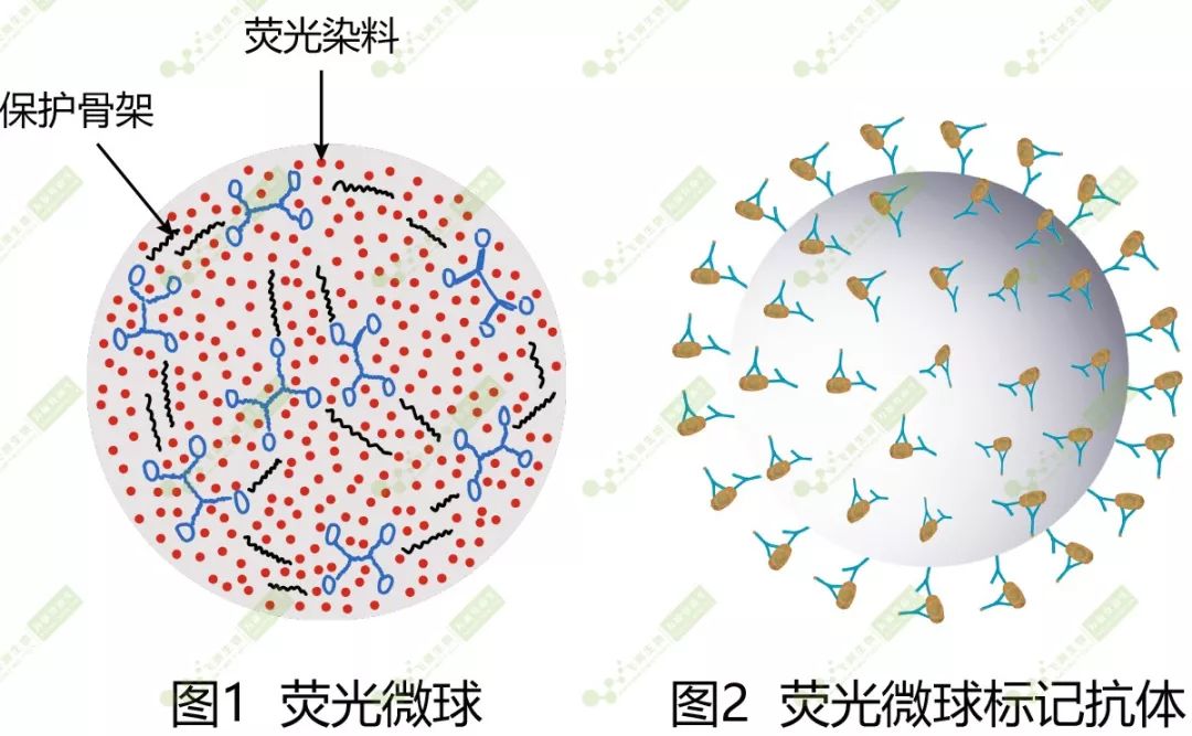 云开体育app官网