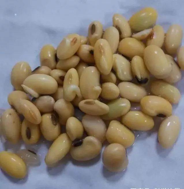 云开体育app官网