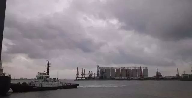 云开体育app官网