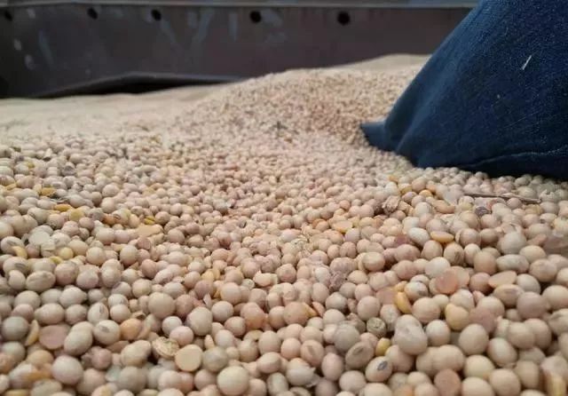 云开体育app官网