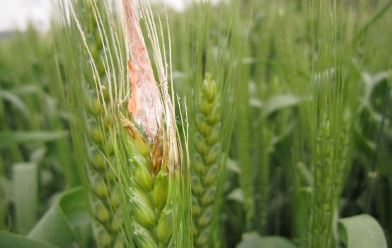 云开体育app官网