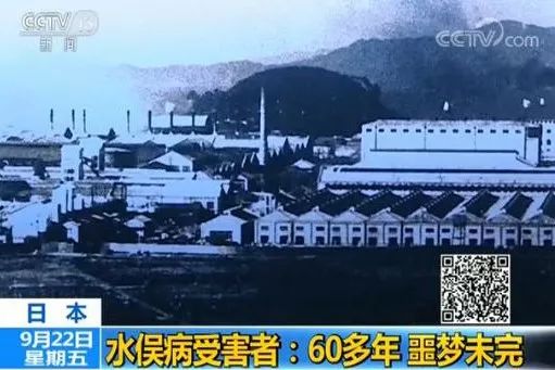 云开体育app官网