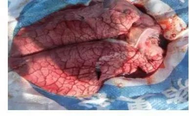 云开体育app官网