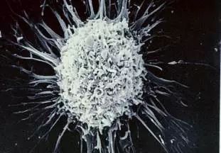 云开体育app官网