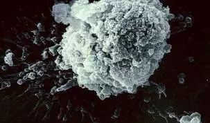 云开体育app官网