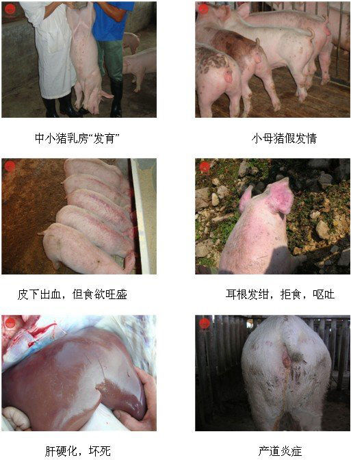 云开体育app官网