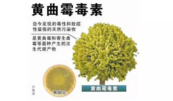 云开体育app官网