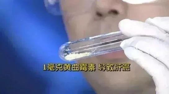 云开体育app官网