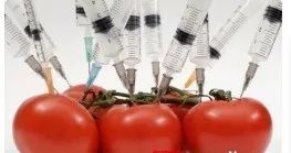 云开体育app官网