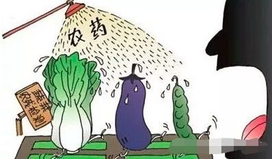 云开体育app官网