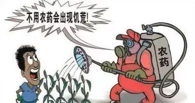 云开体育app官网