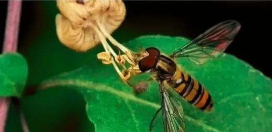 云开体育app官网