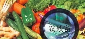 云开体育app官网