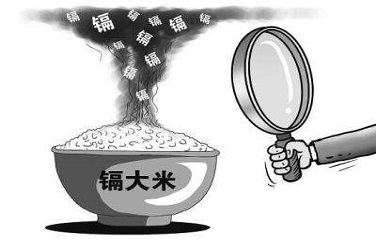 云开体育app官网