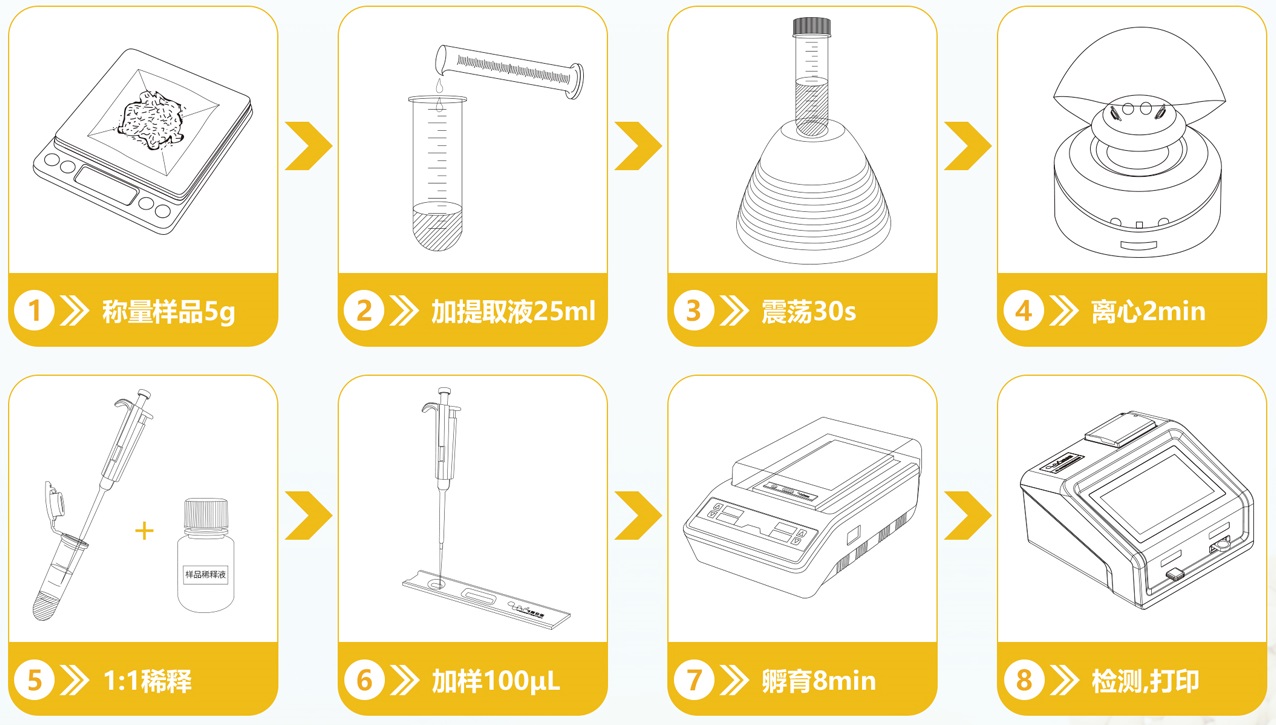 转基因检测流程图
