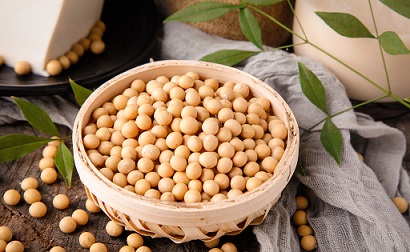 云开体育app官网