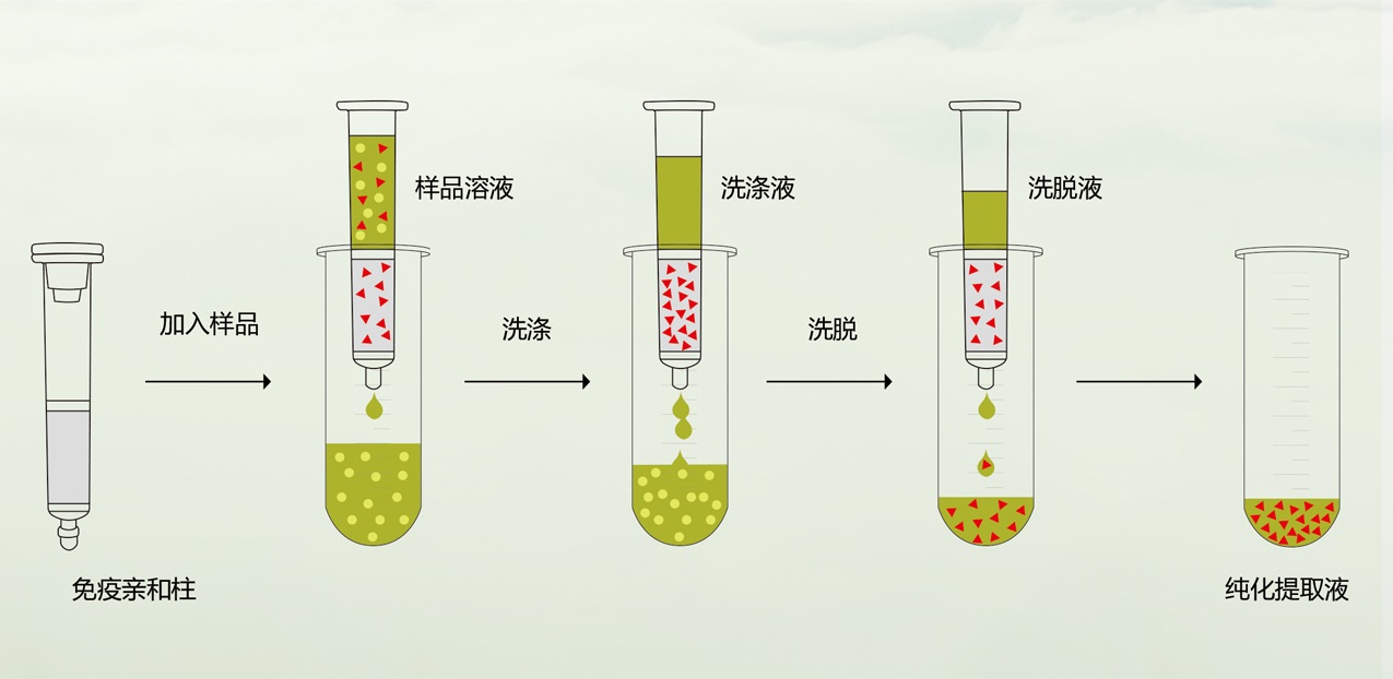 云开体育app官网