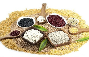 云开体育app官网