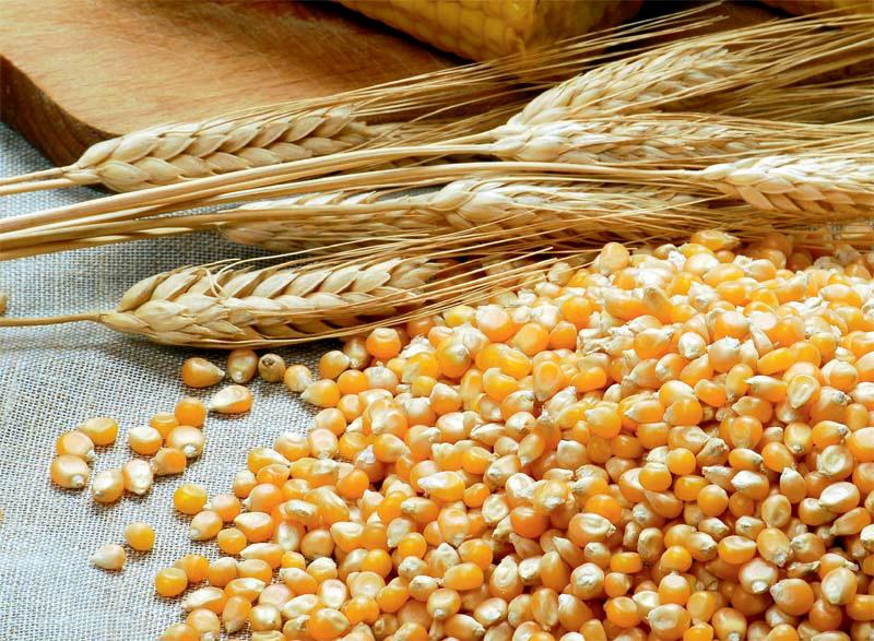 云开体育app官网