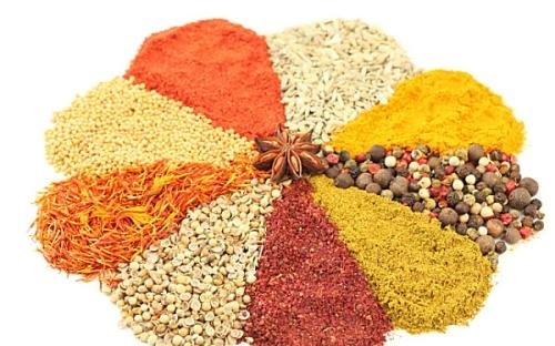 云开体育app官网