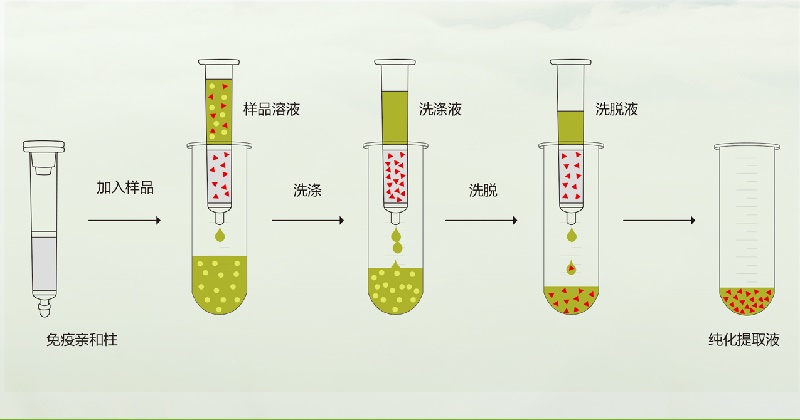 云开体育app官网