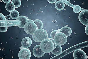 云开体育app官网