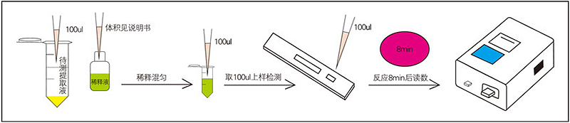 云开体育app官网