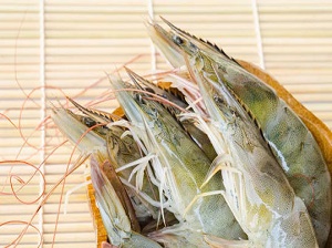 云开体育app官网