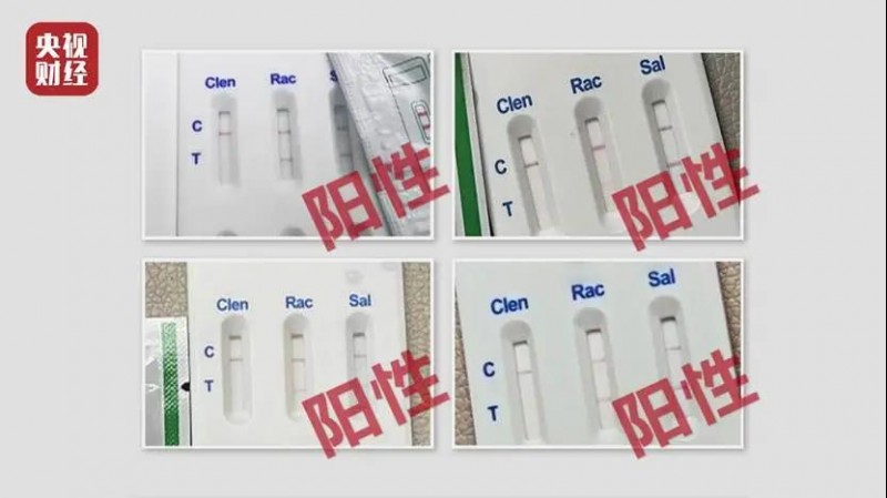 云开体育app官网