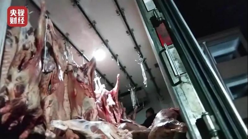 云开体育app官网