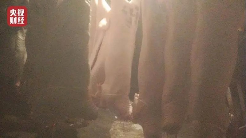 云开体育app官网