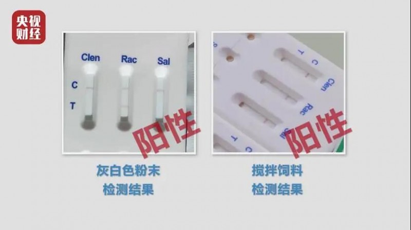 云开体育app官网