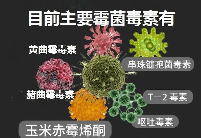 云开体育app官网