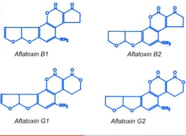 云开体育app官网