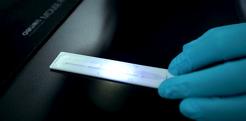 云开体育app官网