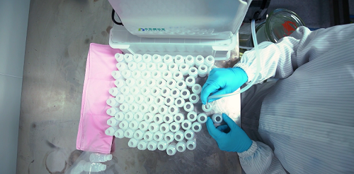 云开体育app官网