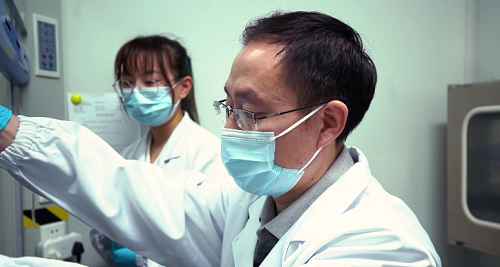 云开体育app官网